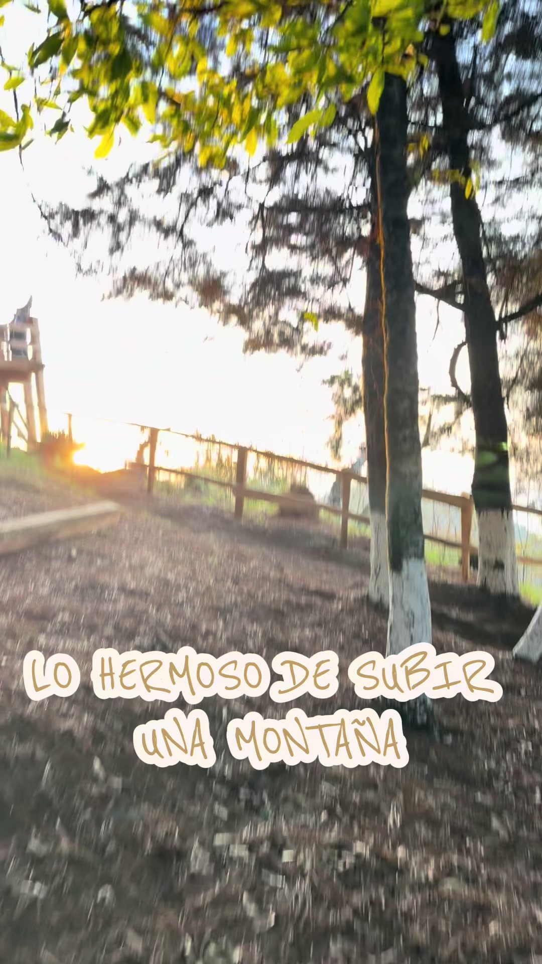 @Roslyn de Le&oacute;n