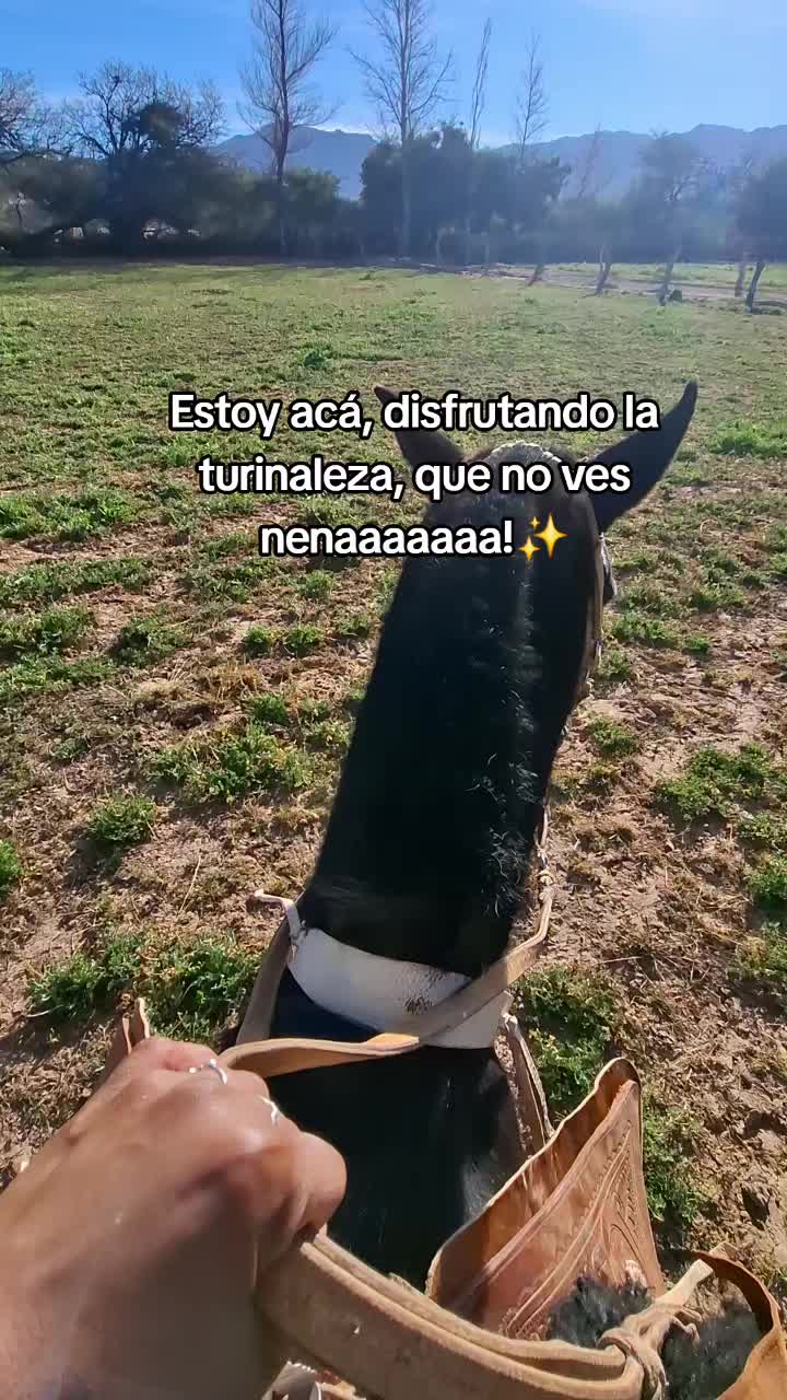 @Elena Rodríguez