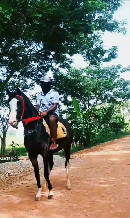 @💢ရှိုင်းလေး💢