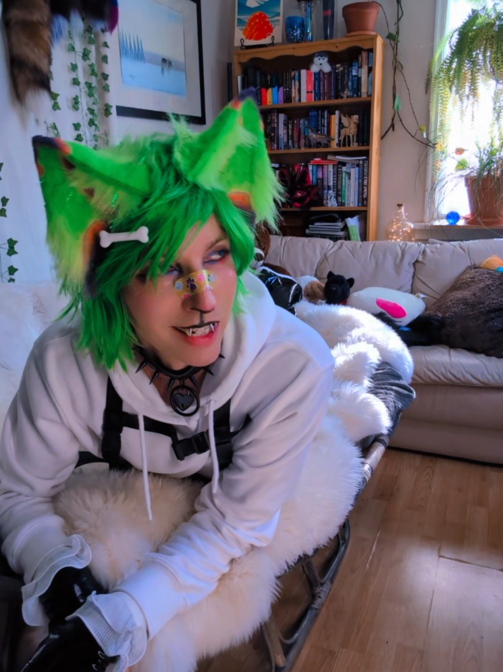 @starlit wolf