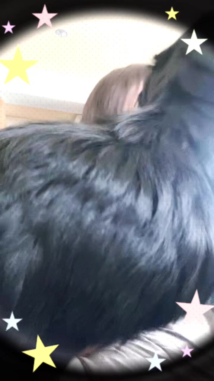 @超ド級ヒューマン