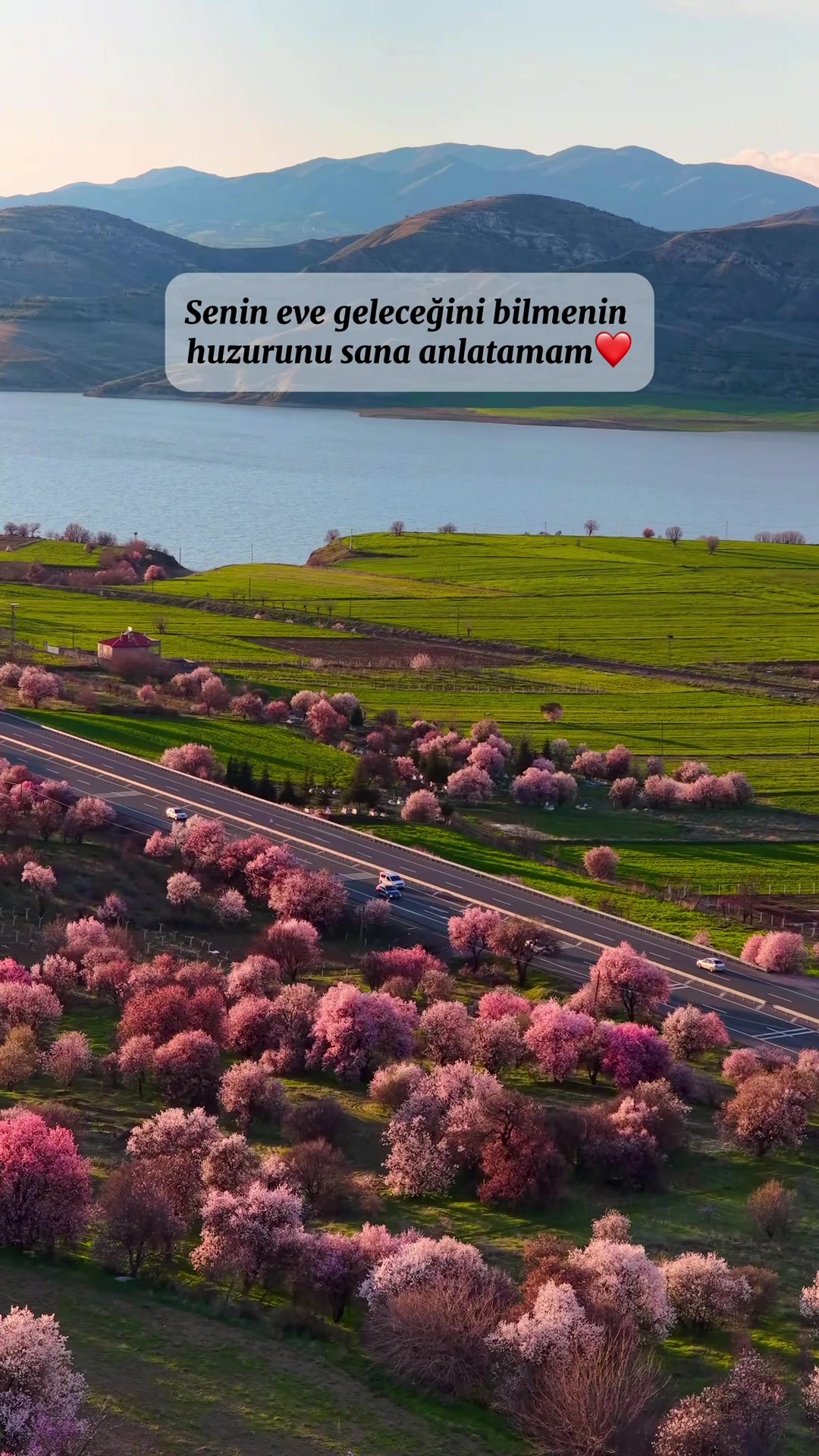 @Elif Meva Demir