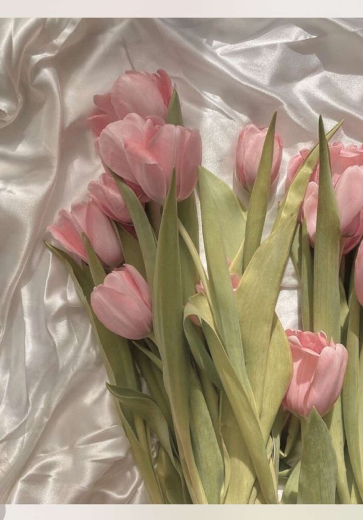 @yoanachristian🎀