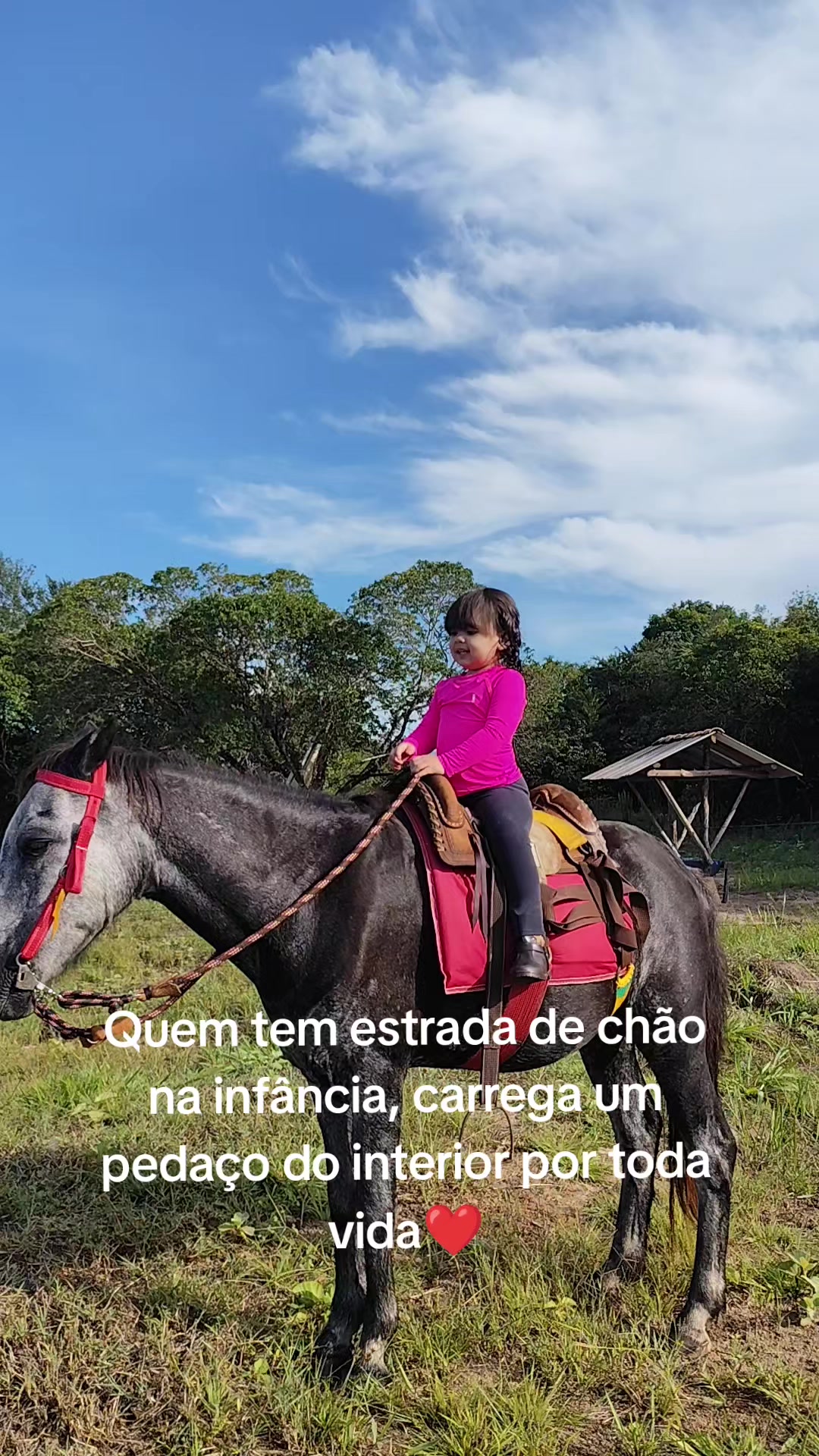 @Bianca Machado