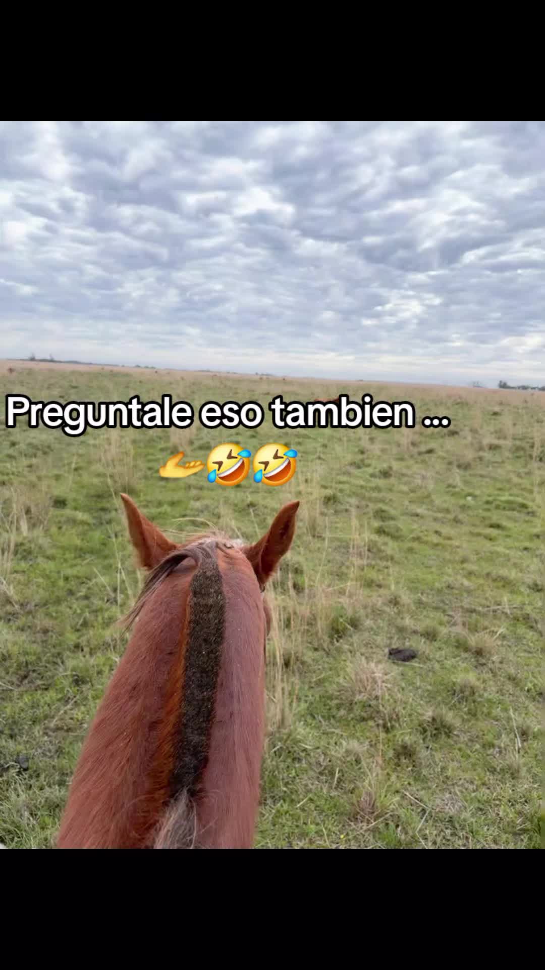 @Ramón_Batalla🫡