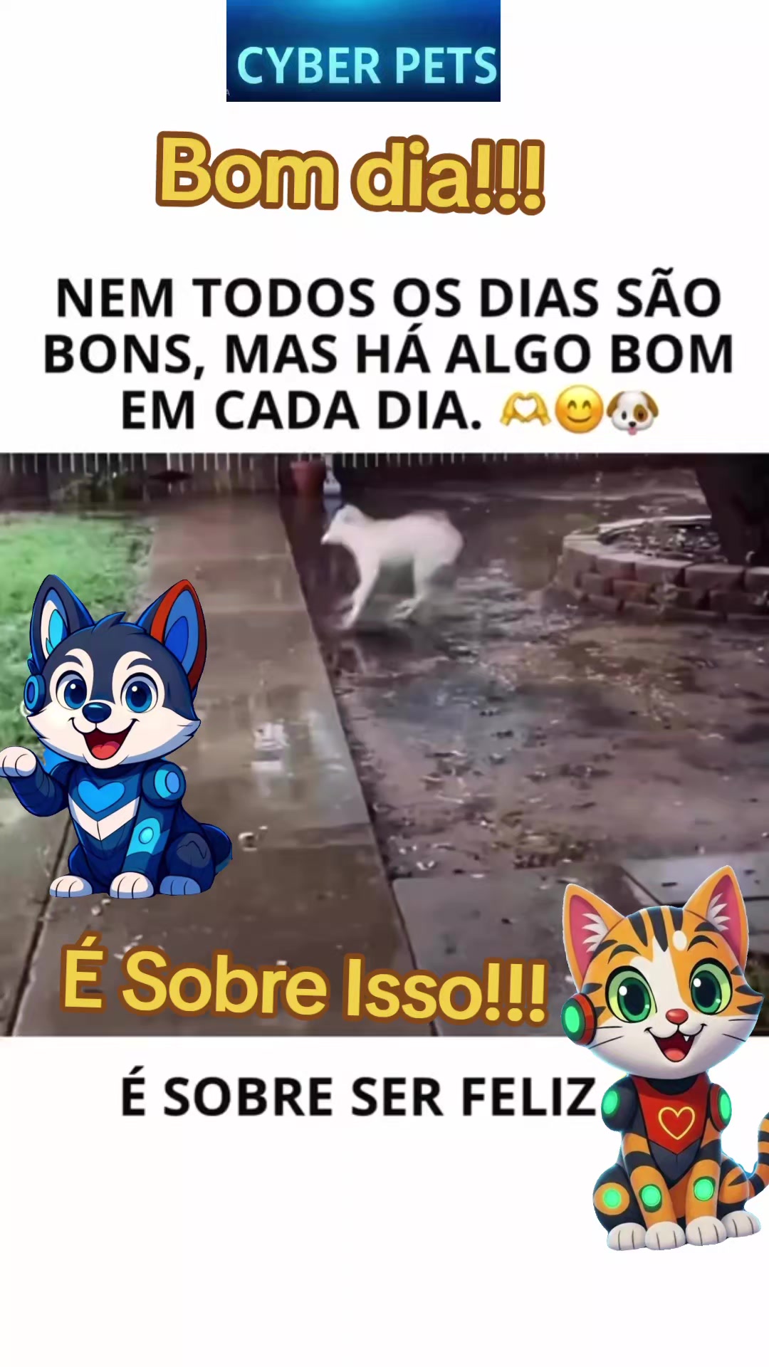 @Cyberpets