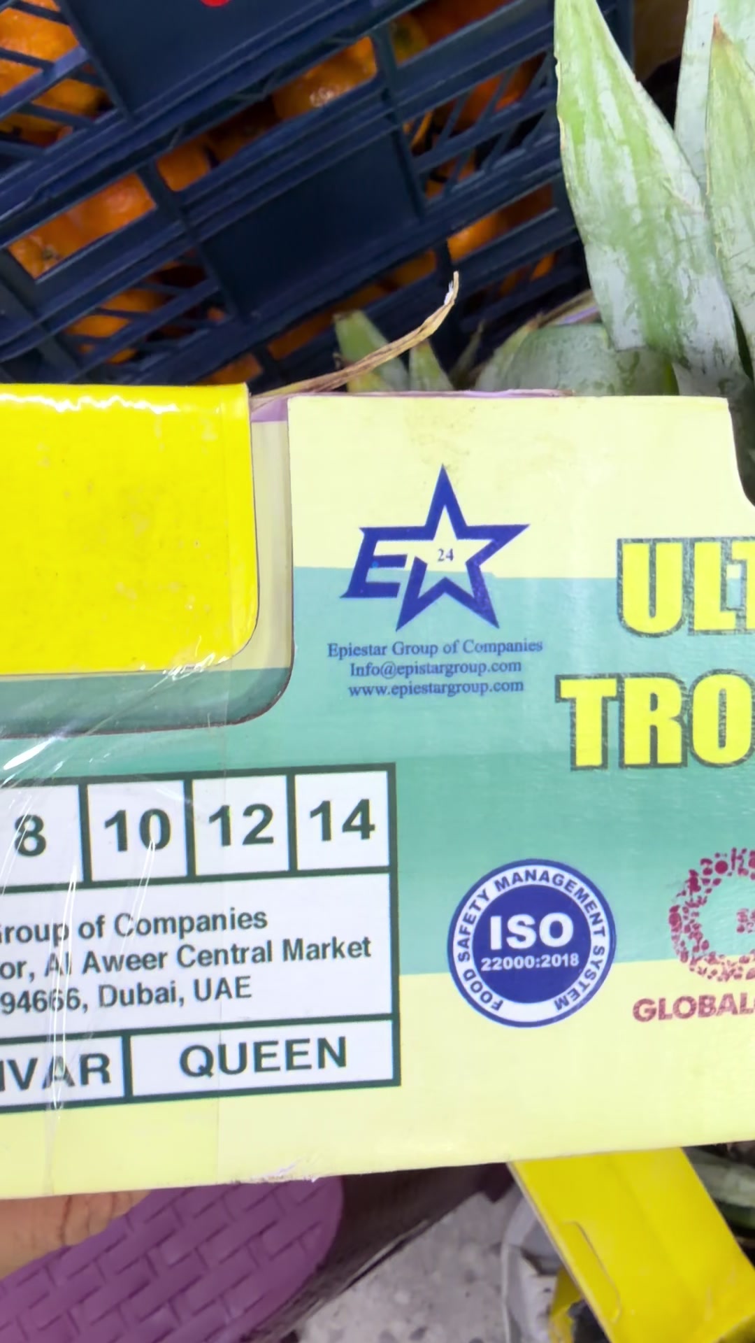 @Epicstar Group of Companies