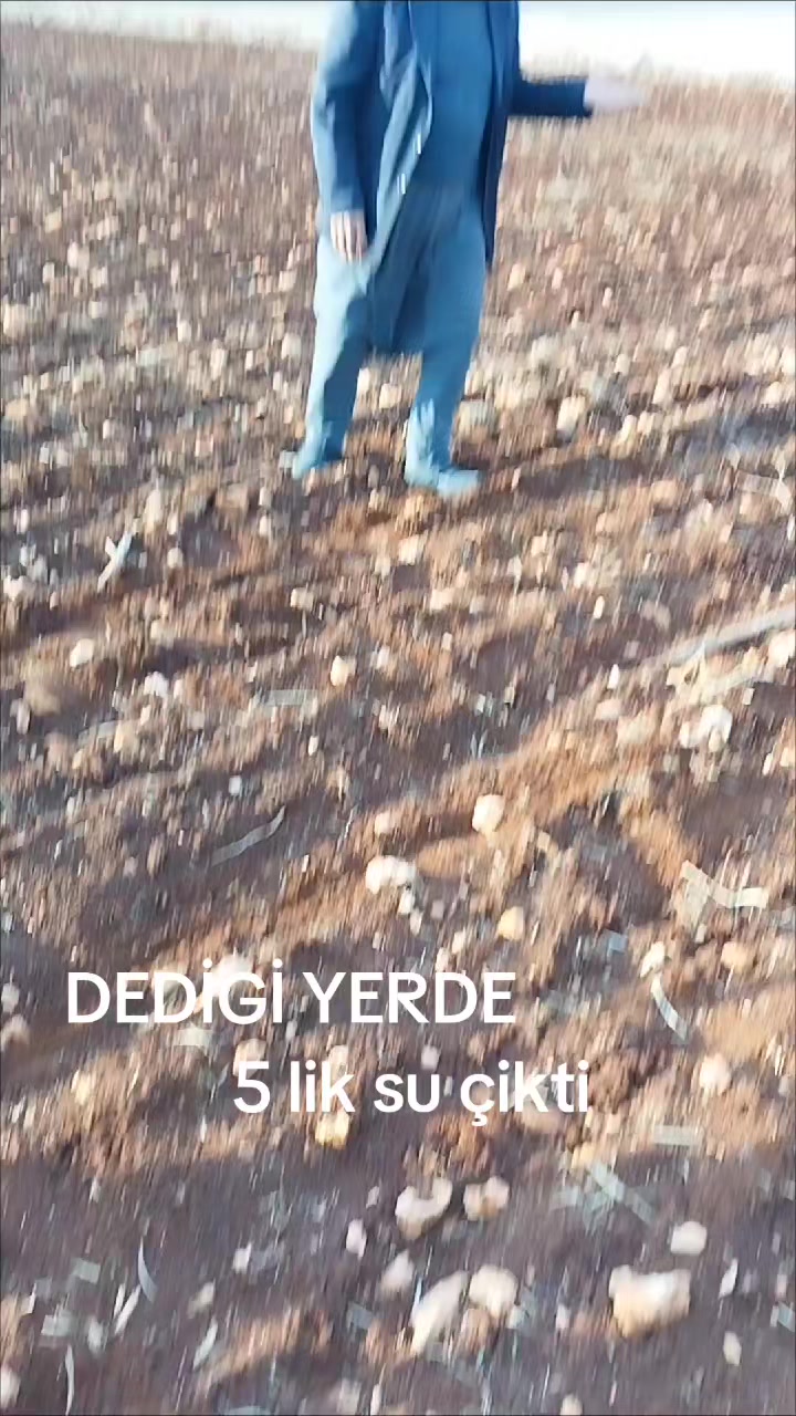 @Seydo 02