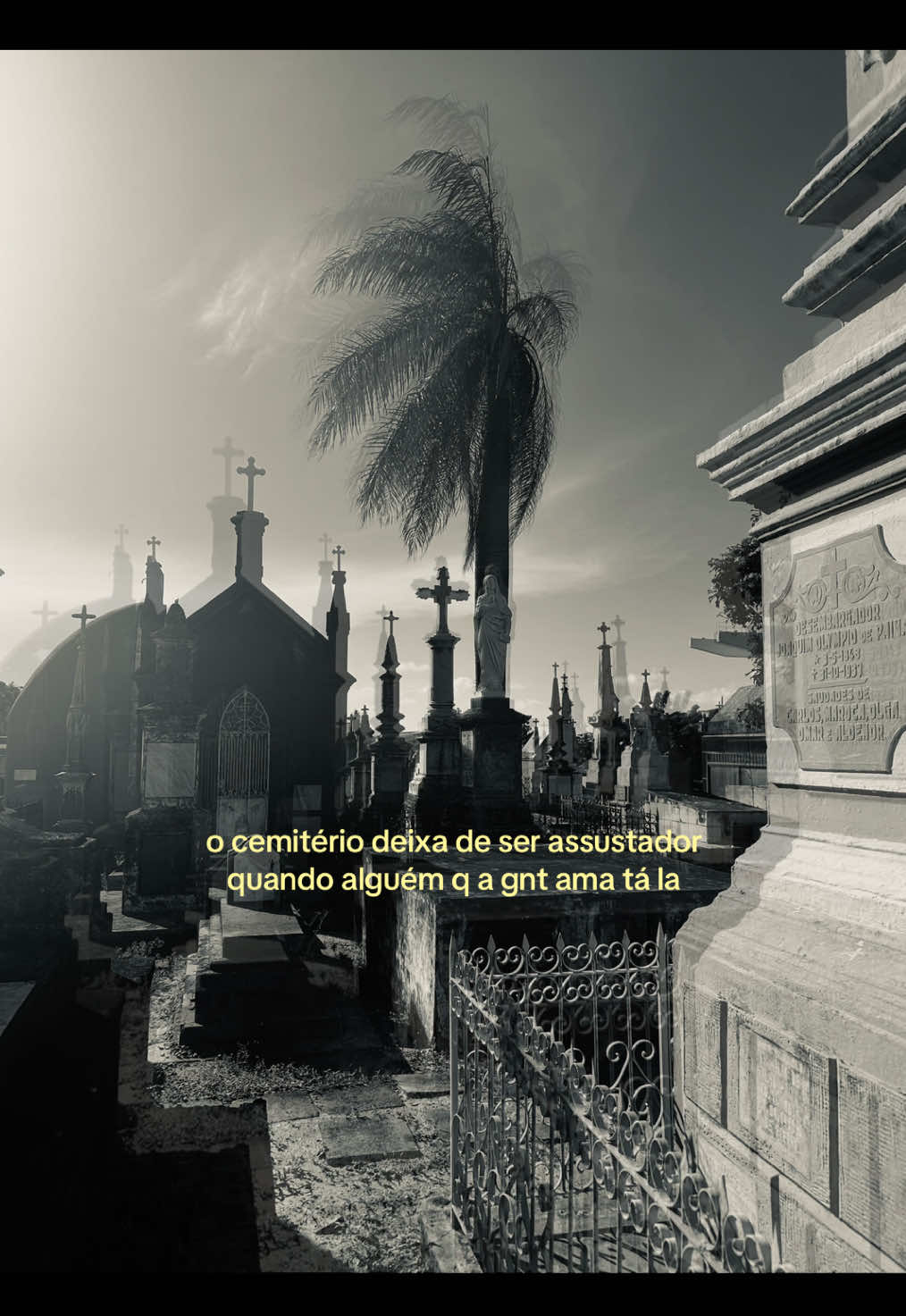 @vic🌜