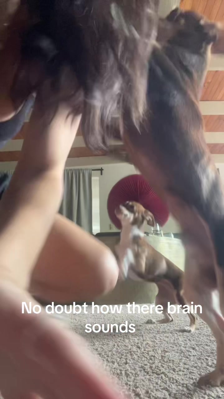 @Ruby-Lily
