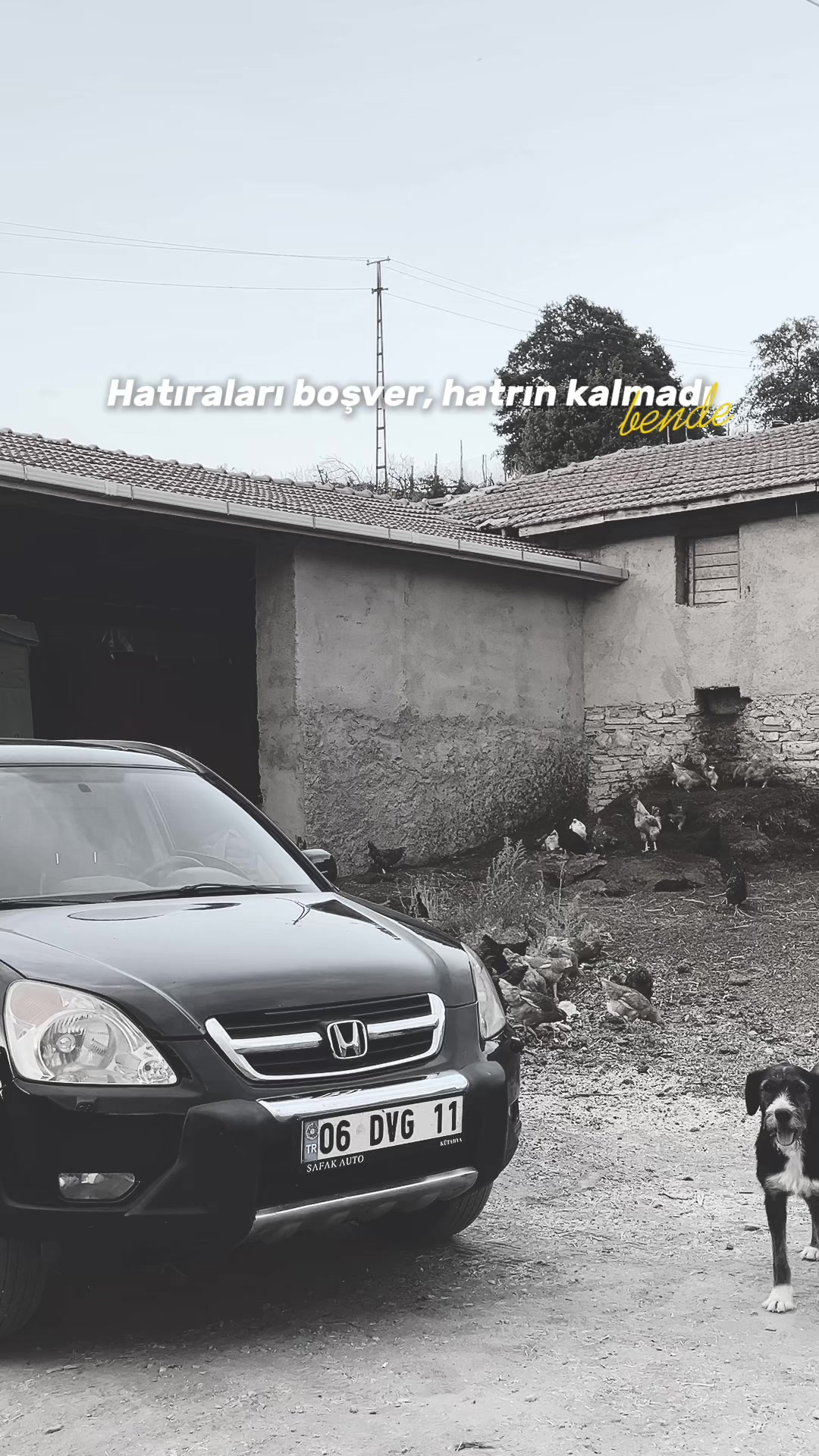 @ลABAN KOLTKA