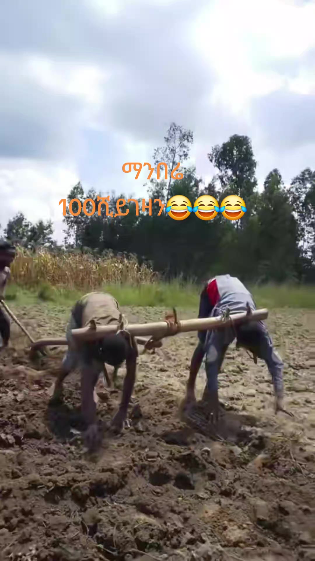 @๐ฆแฐแแญแ แแ๐ง๐๐