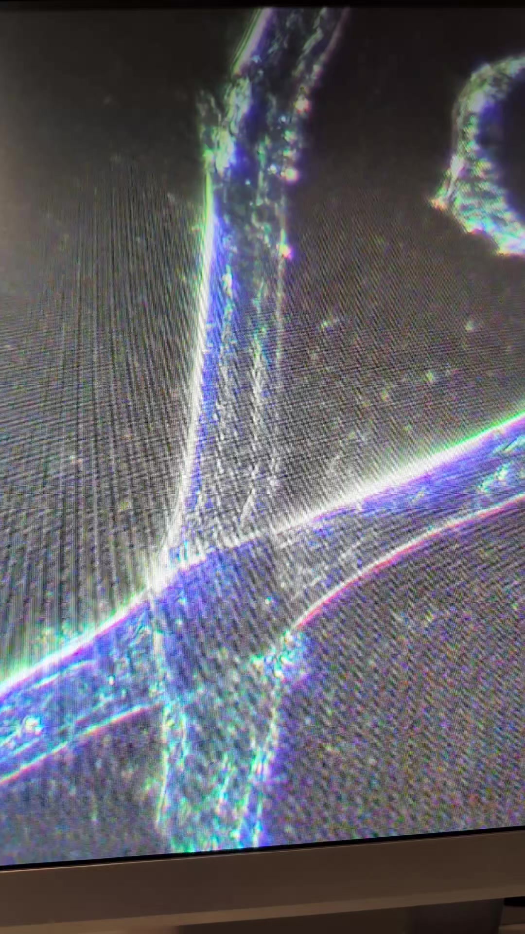 @HaemaFlow LiveBloodAnalysis