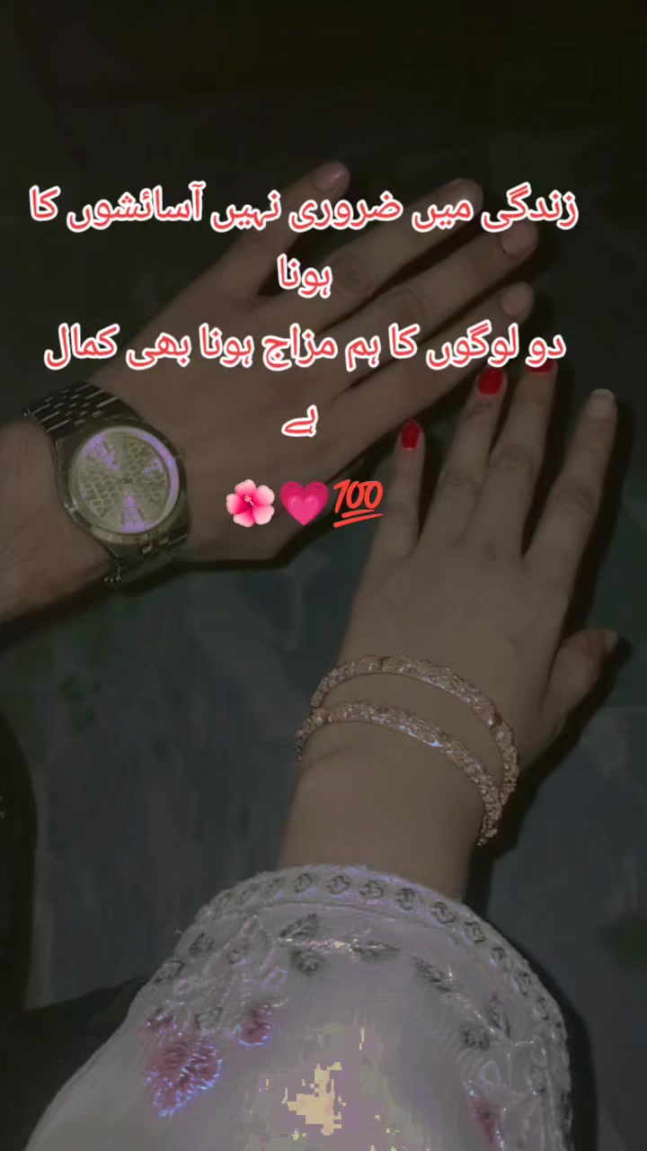 @Hibu tiktok