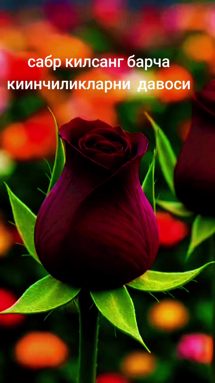 @оллох ягонадур