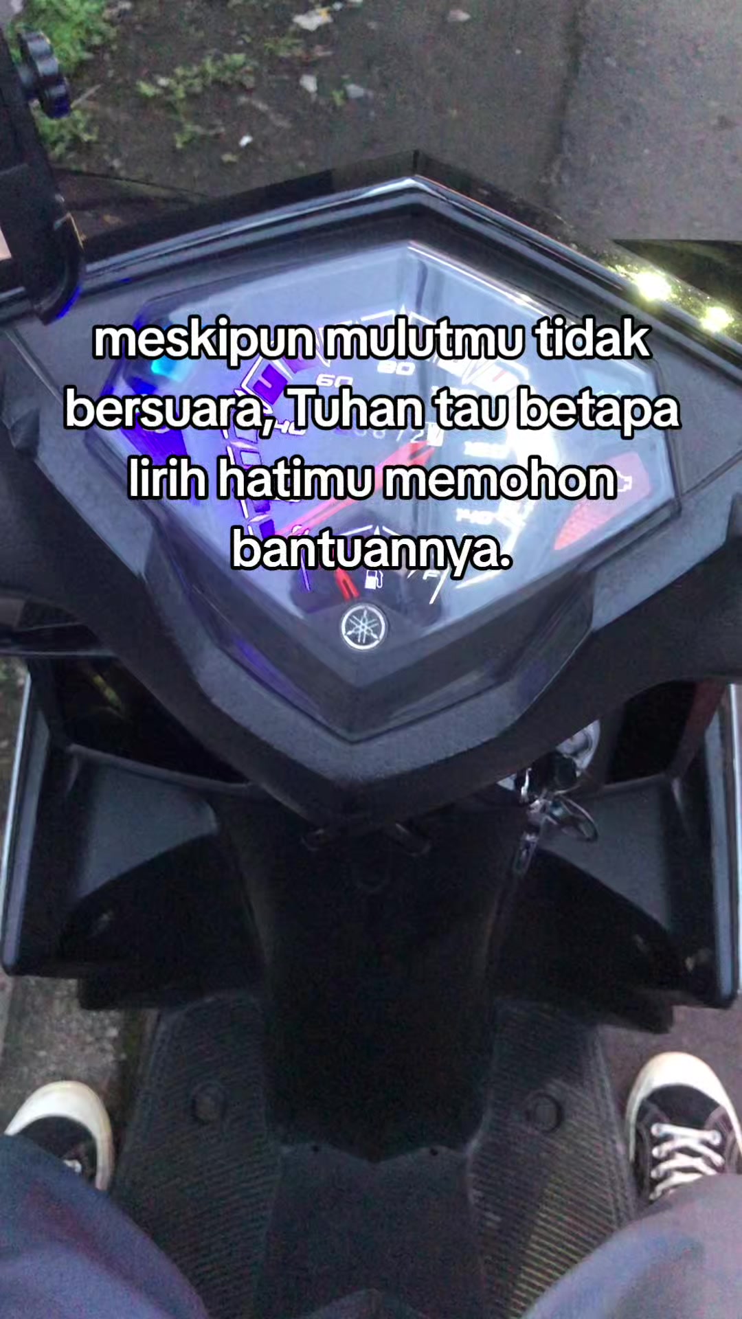 @INDUK GALAU🐦&zwj;⬛