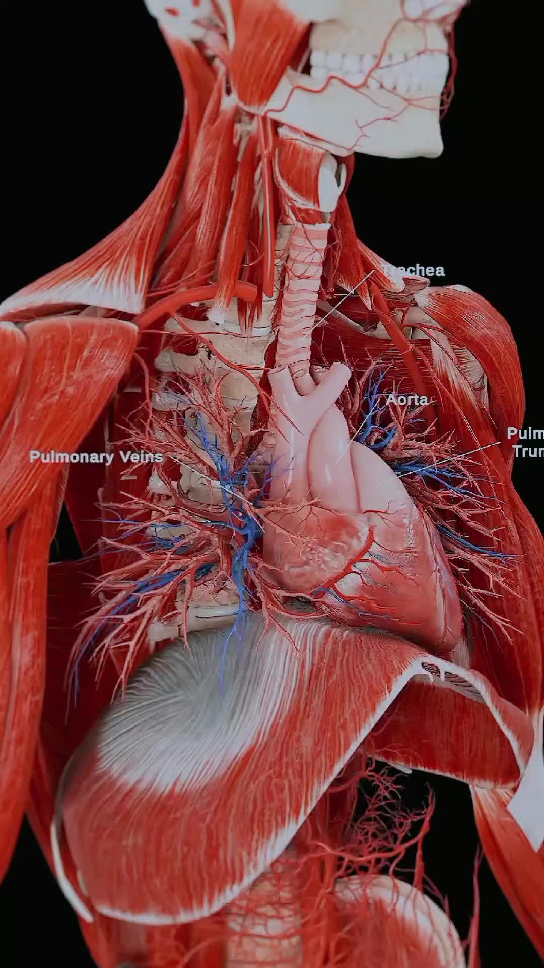 @the radiology zone
