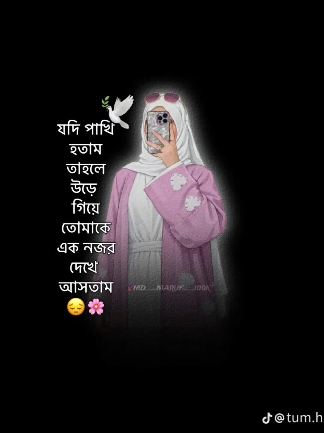 @@ Lima Islam @