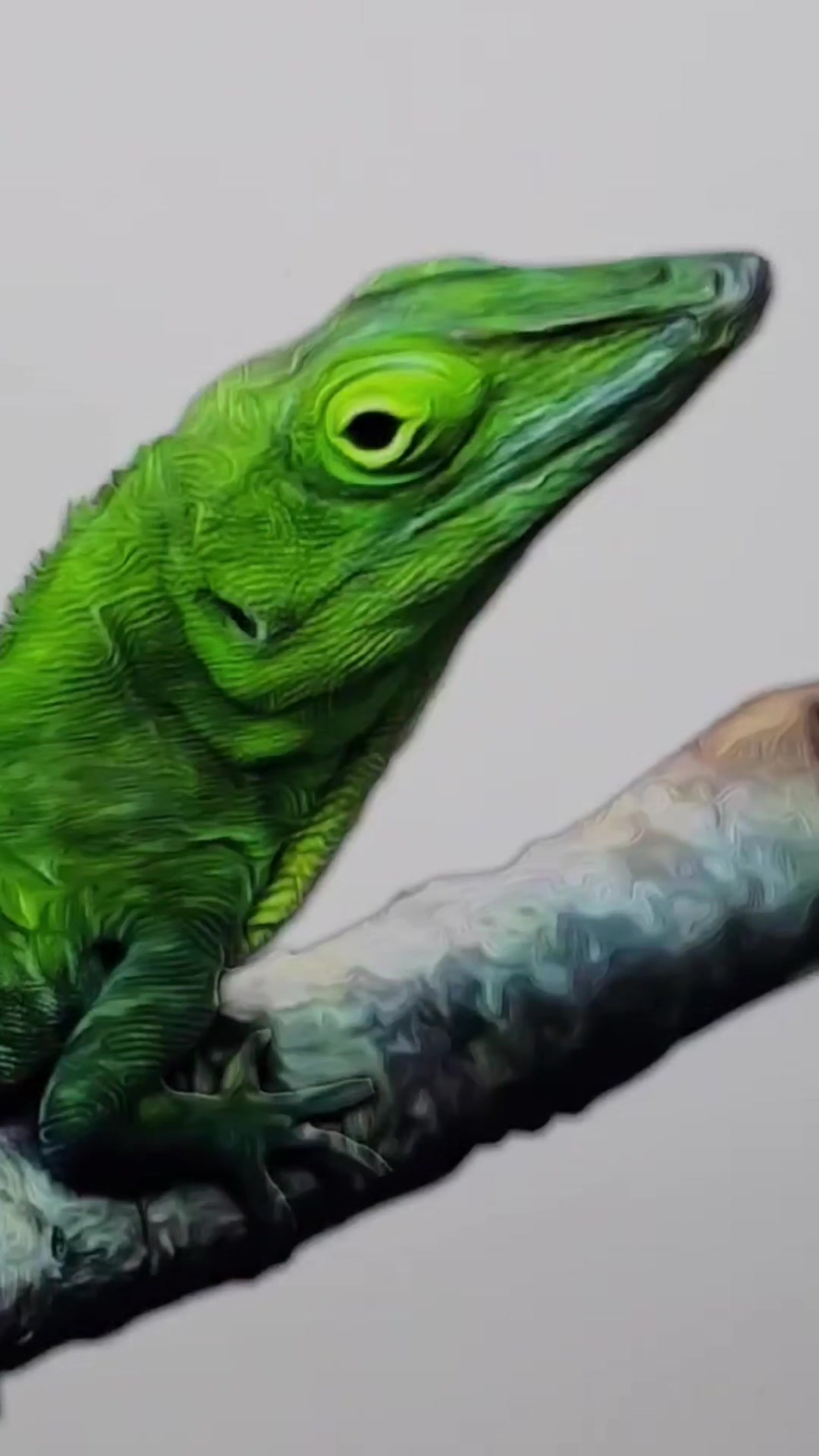 @Sacred Geckos and Exotics