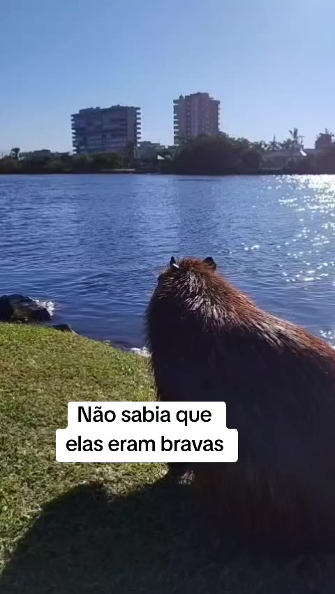 @Marcinho 2802