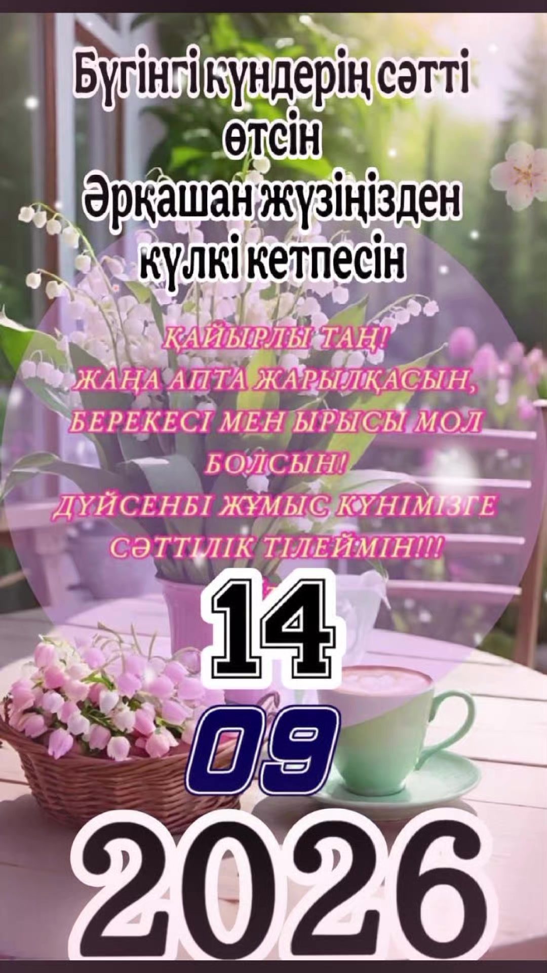@Asema