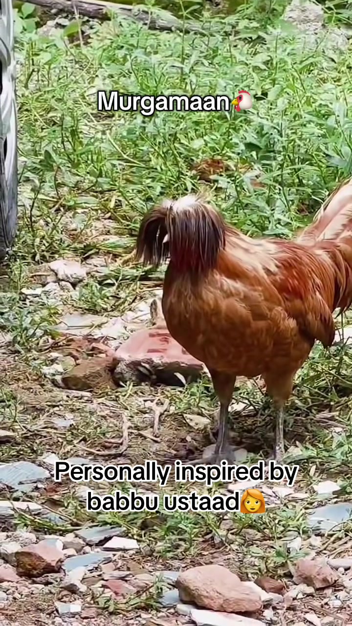 @Funny Kallo🦨