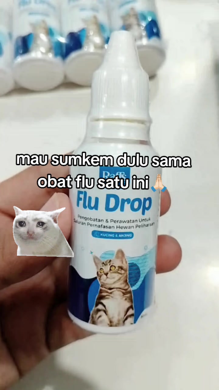 @Grosir Hammielion Petshop