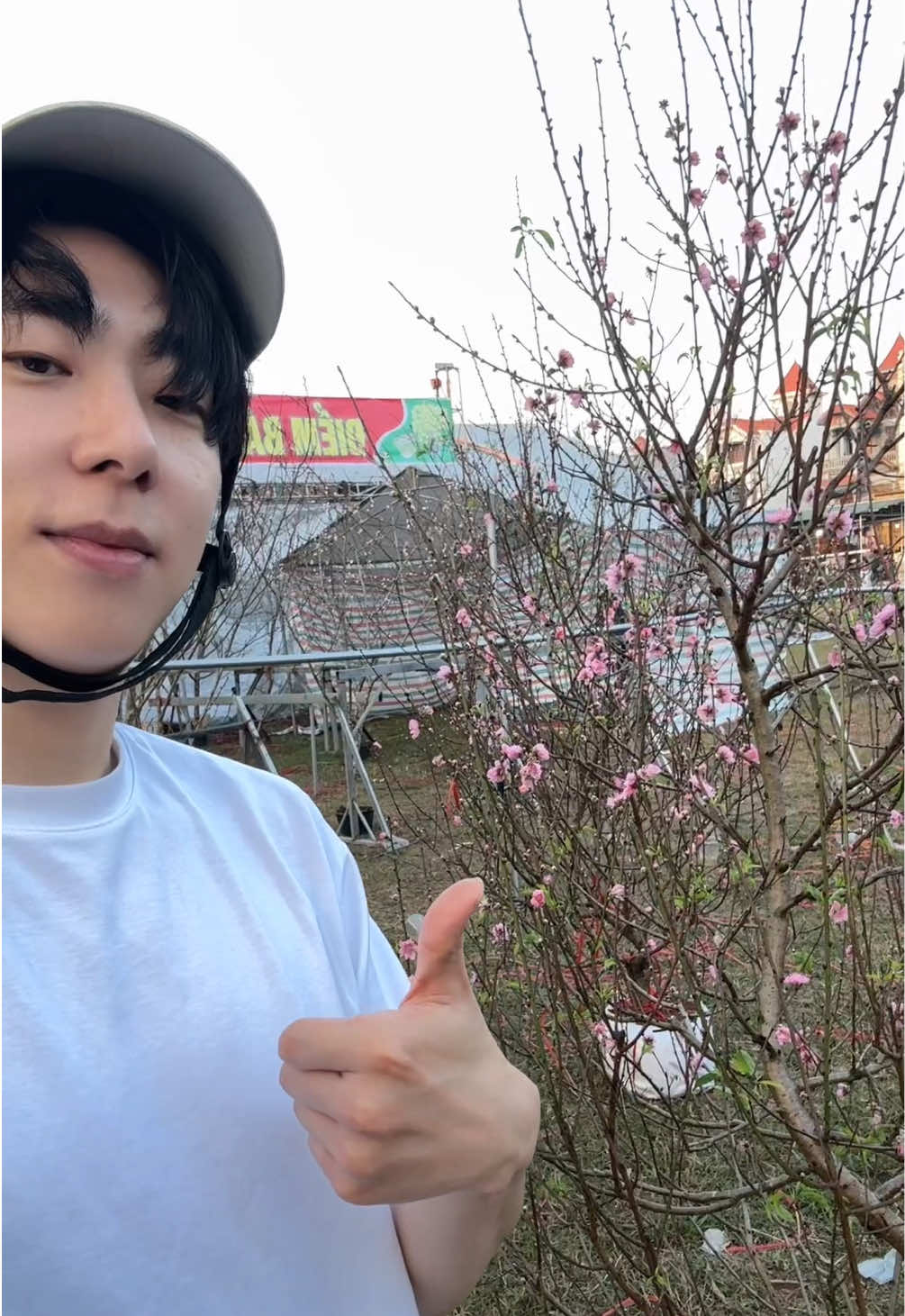 @Hoon