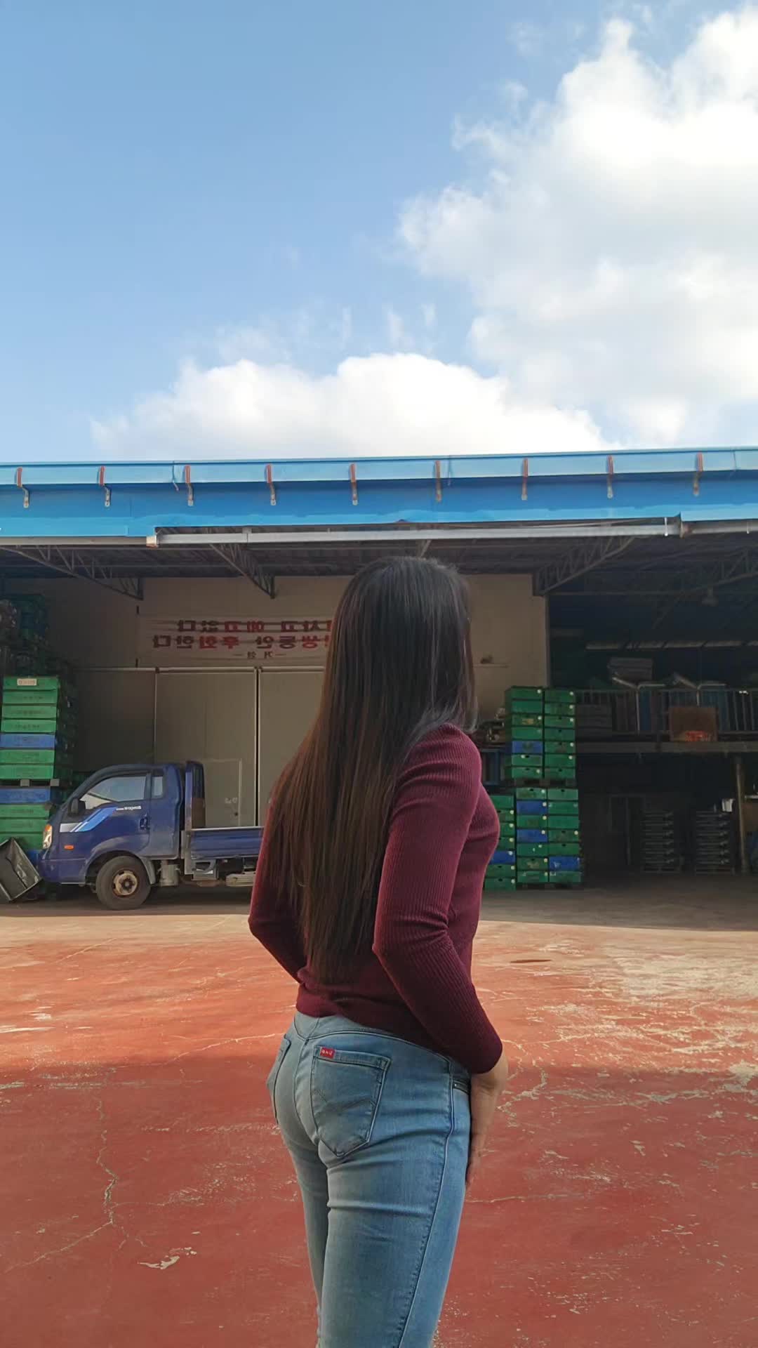 @Oppa's GIRL🇰🇷🇵🇭🐺🌳💫🔆