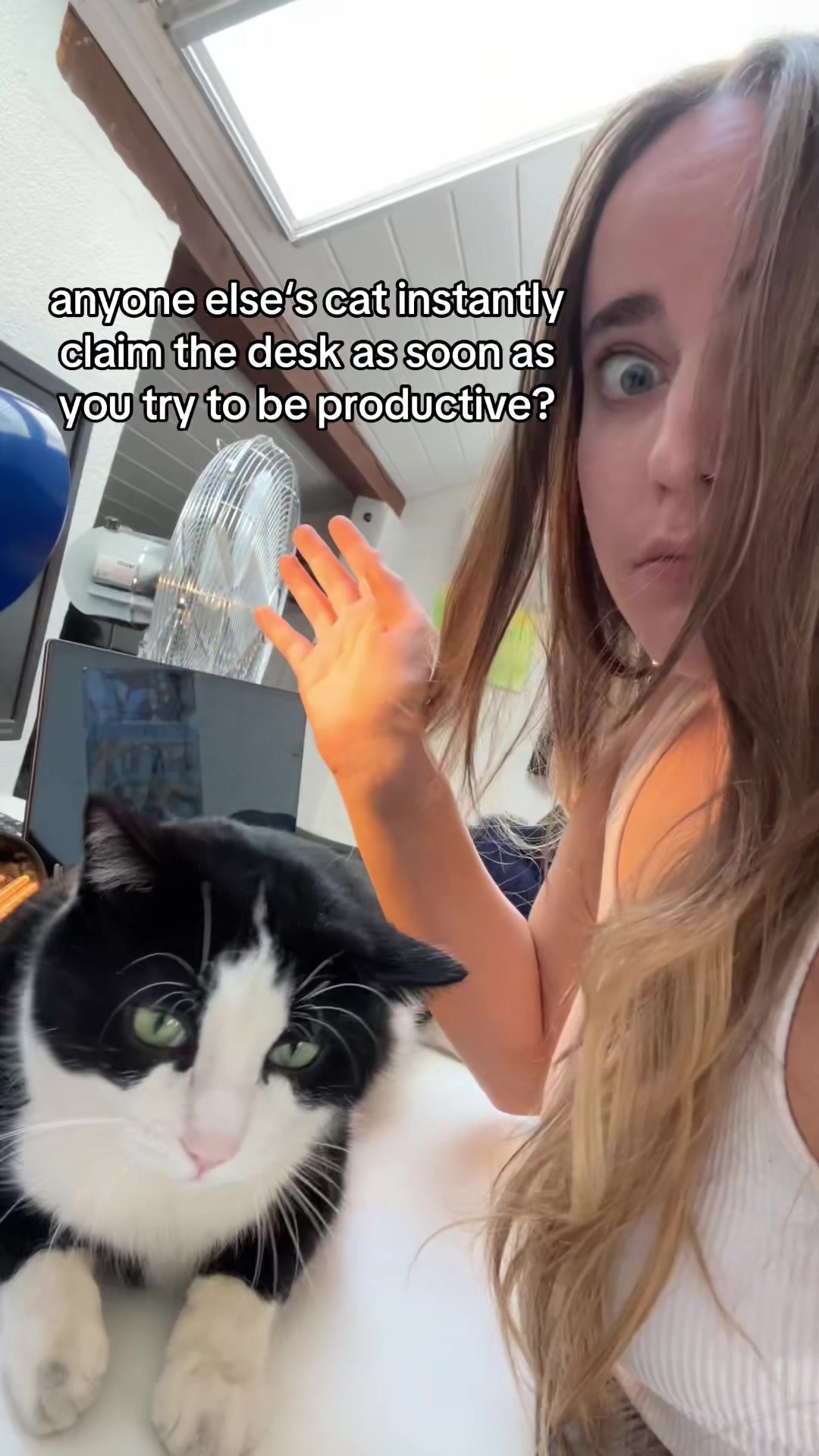 @Tanja ❯❯❯❯❯