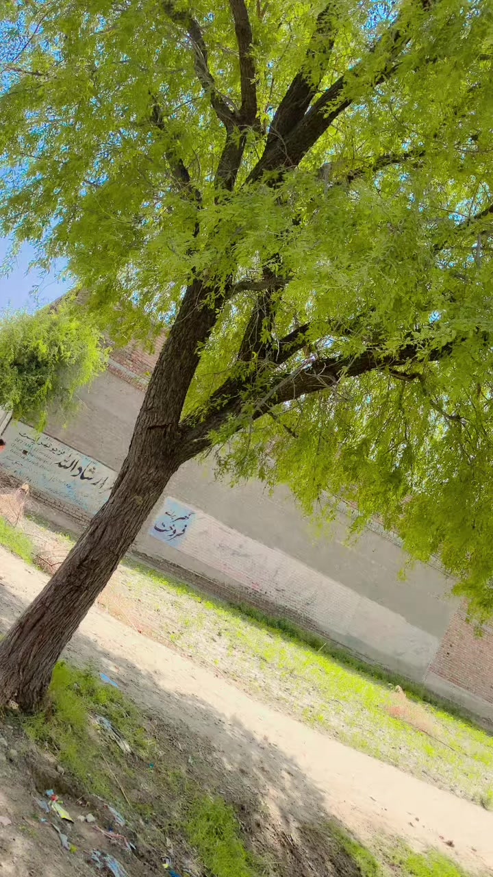 @꧁♛ 𝑆𝑂𝐻𝐴𝐼𝐿 ♛꧂