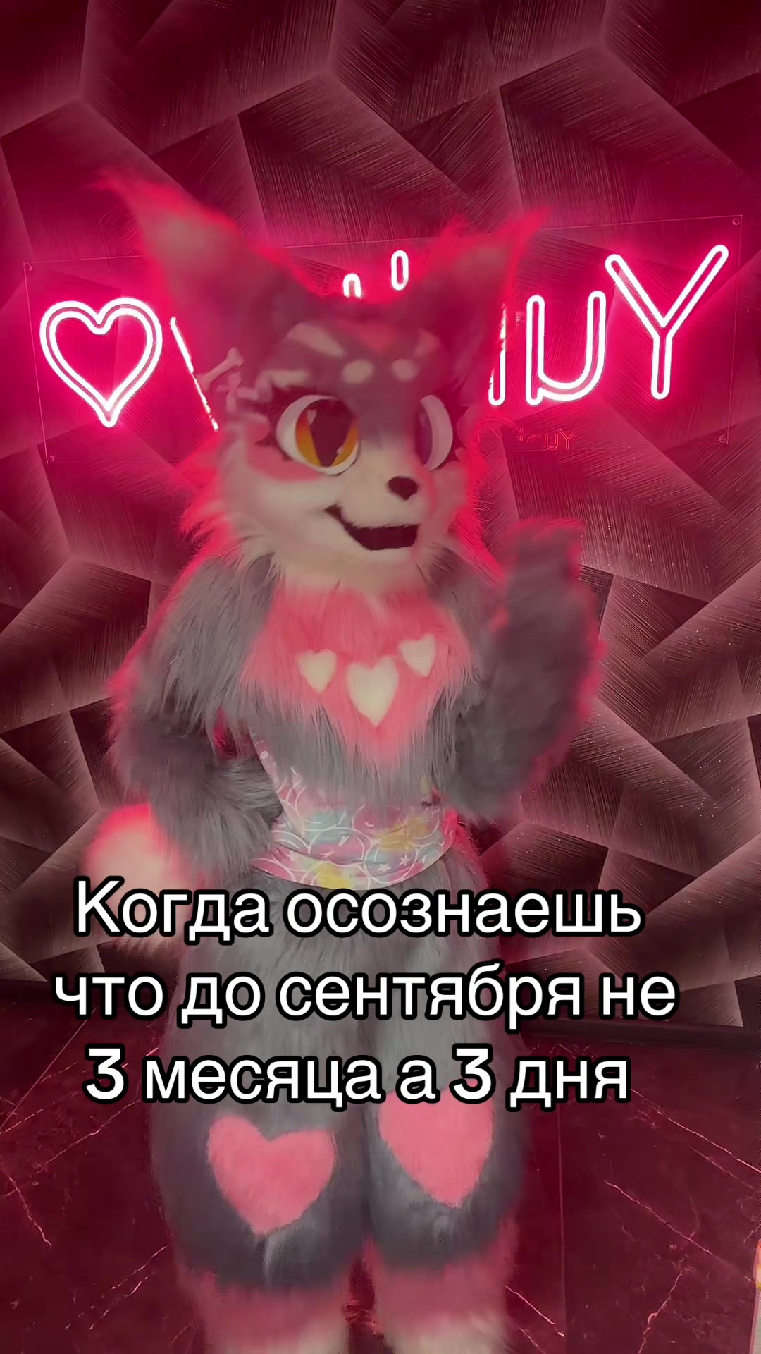 @🌷❀。˚⋆𝒀𝒖𝒏𝒊𝒕𝒕𝒚⋆˚。❀🌷