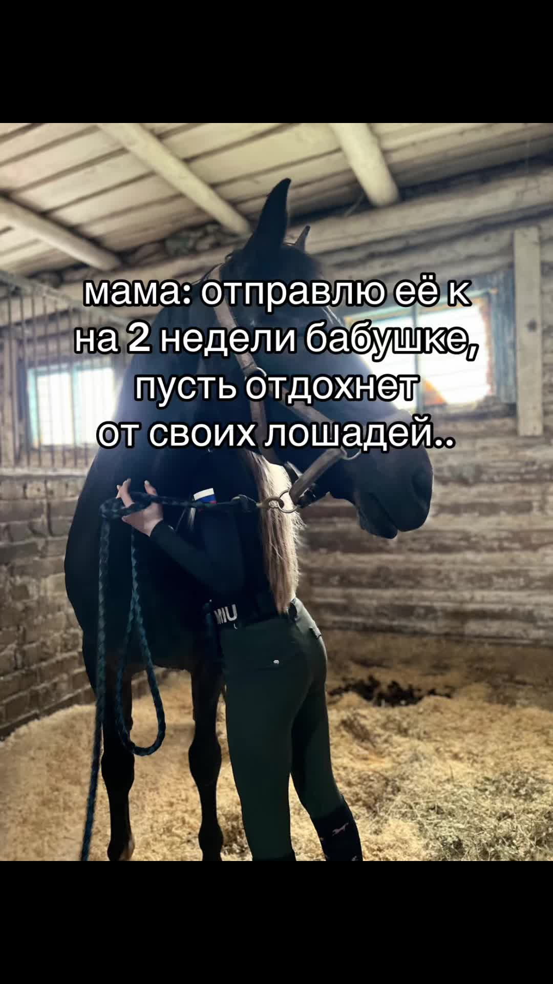 @Ли🐴