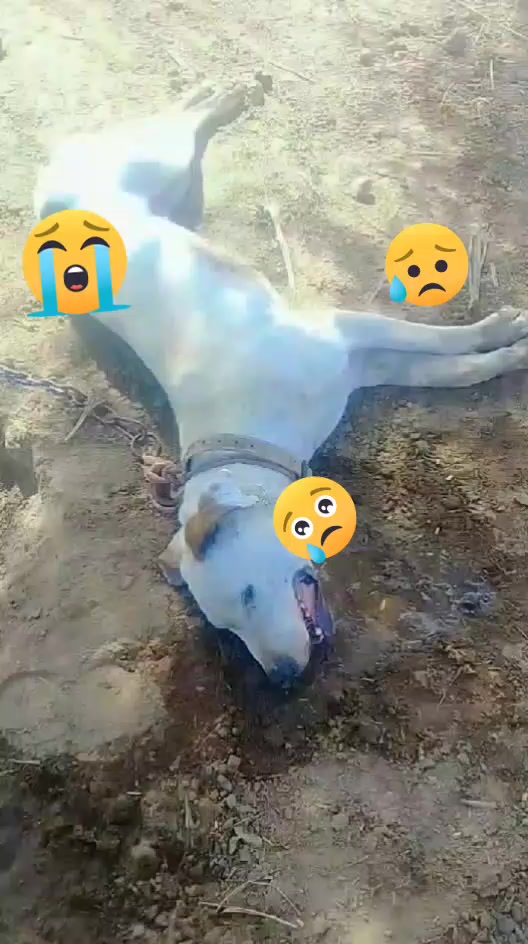 @گھمن صاحب