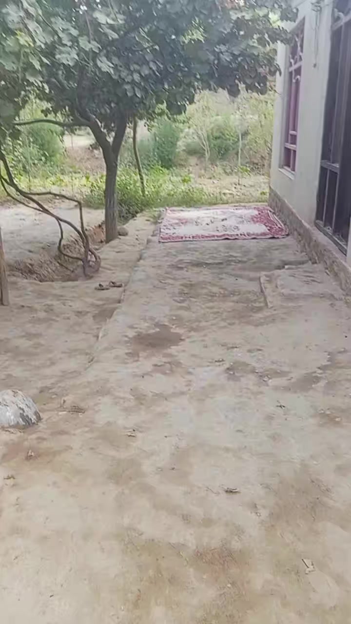 @Mesut Safariمسعود.صفرای