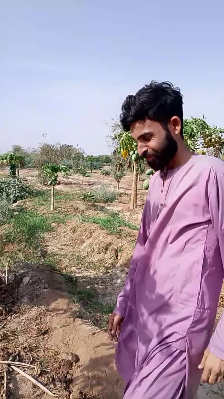 @Mirani Saif ALi