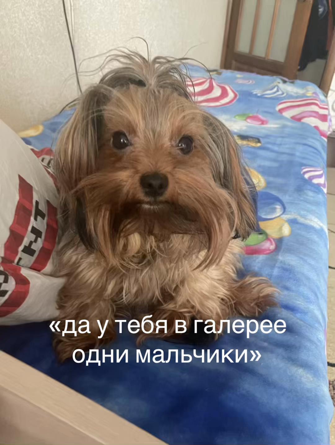 @stxshka🦭