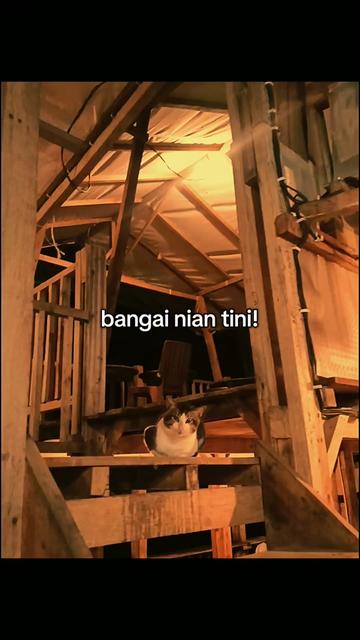@Redo bodak onyot