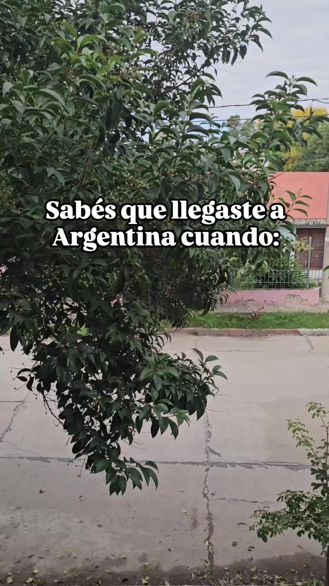 @Pupinamente