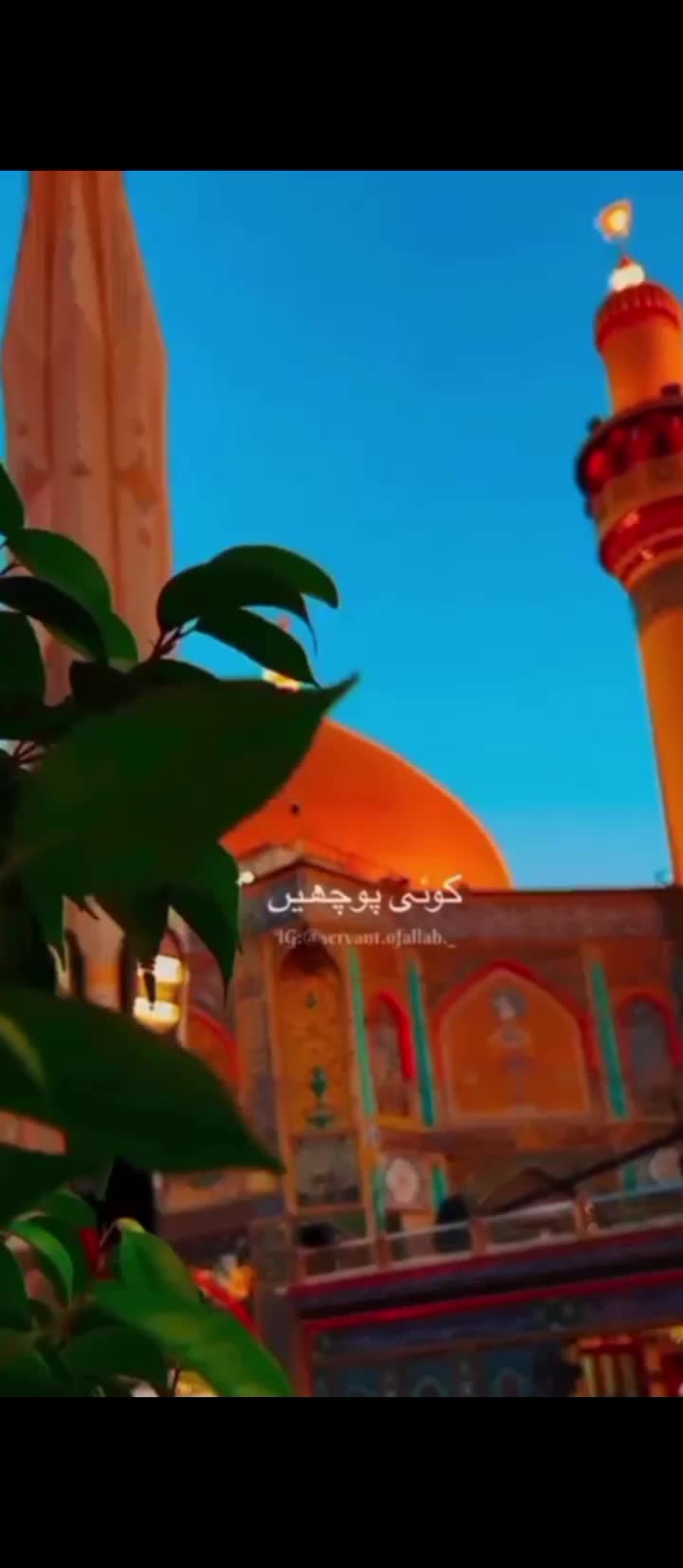 @🌹⃝࿇᭙ꫝ𝓲𝓽ꫀ_𝘳ꪮ𝘴ꫀ࿇⃝🌹