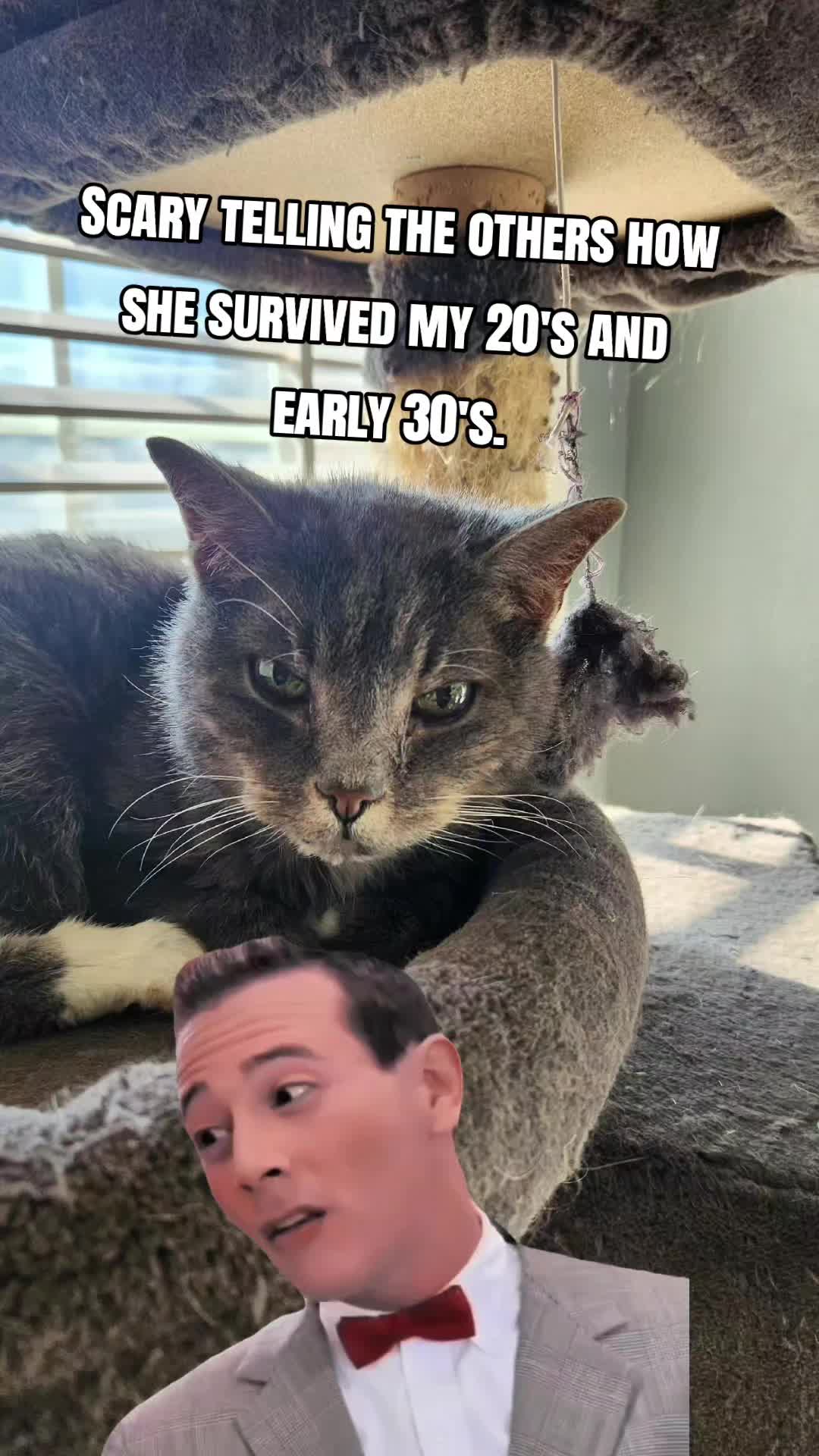 @crazycatcrew