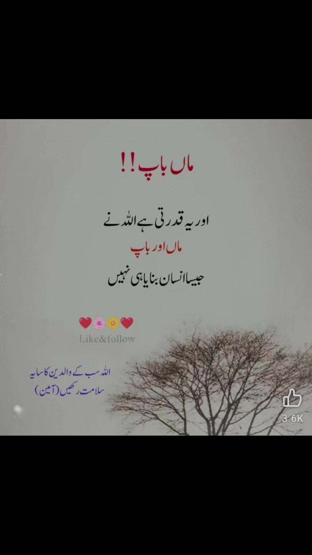 @Ch.Javed