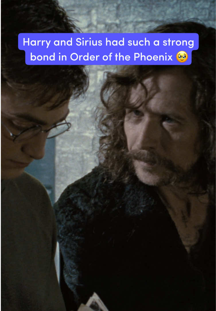 @Harry Potter