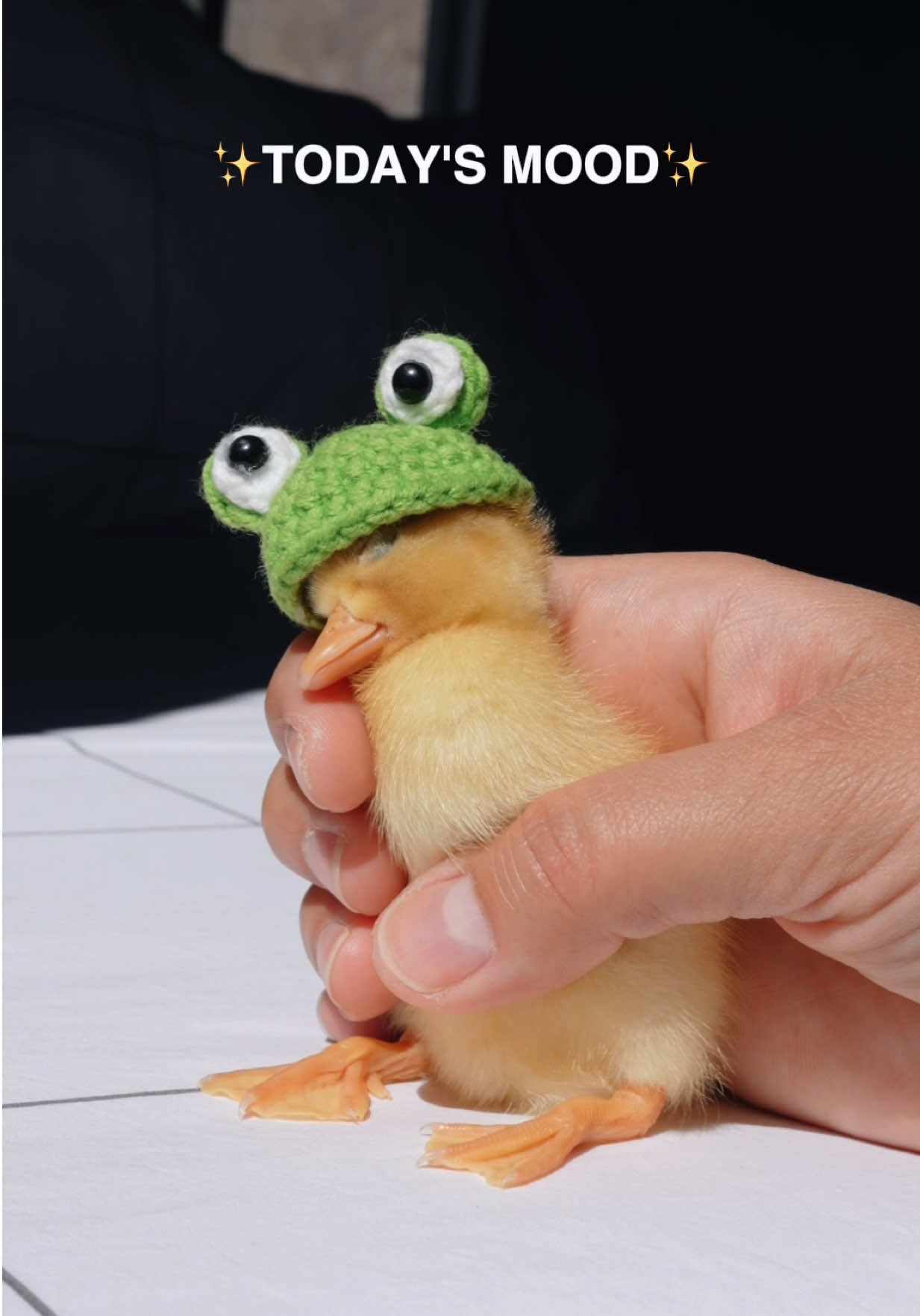 @ducks_in_space🪿🪿💦