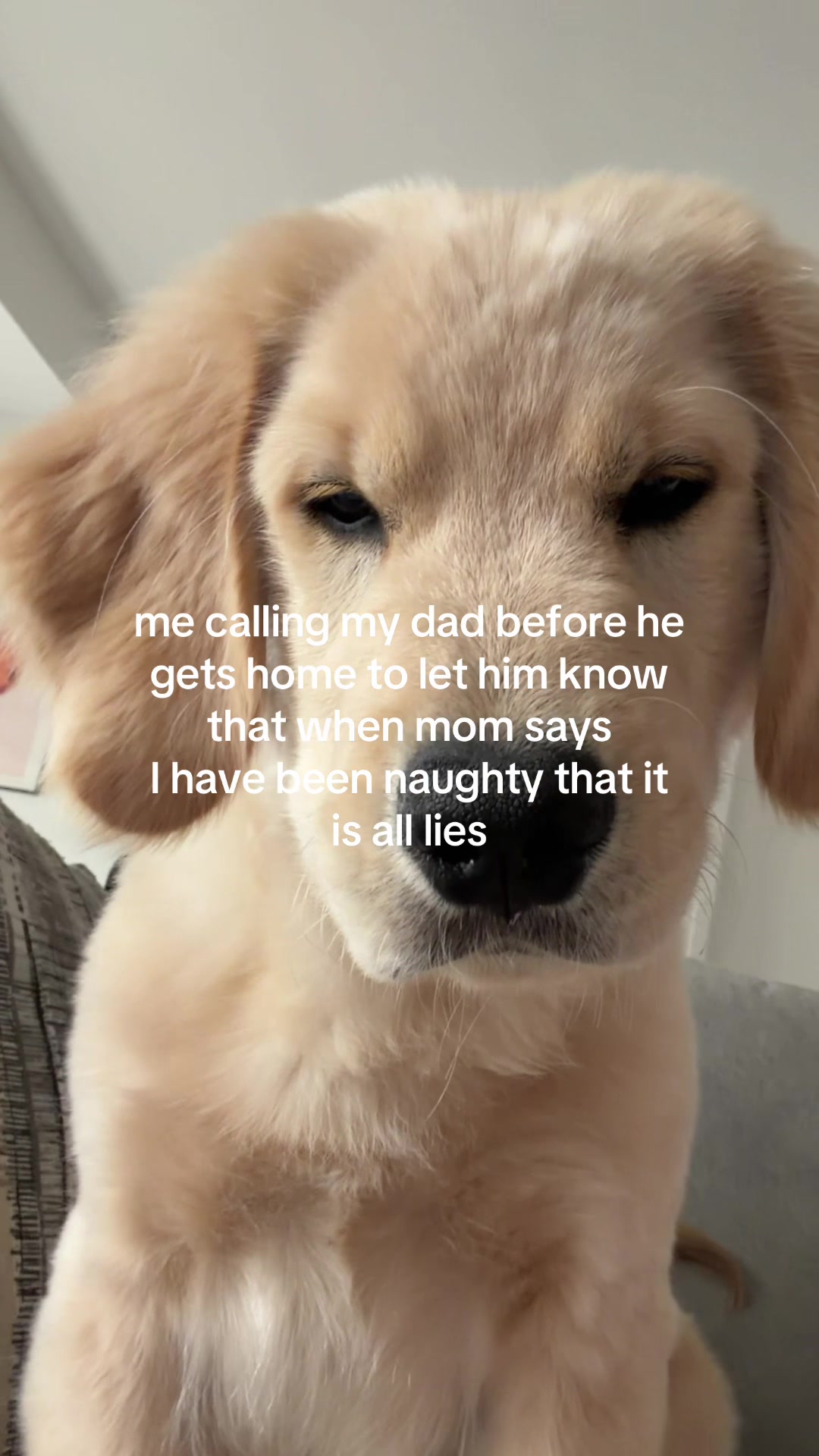 @Luca the Golden