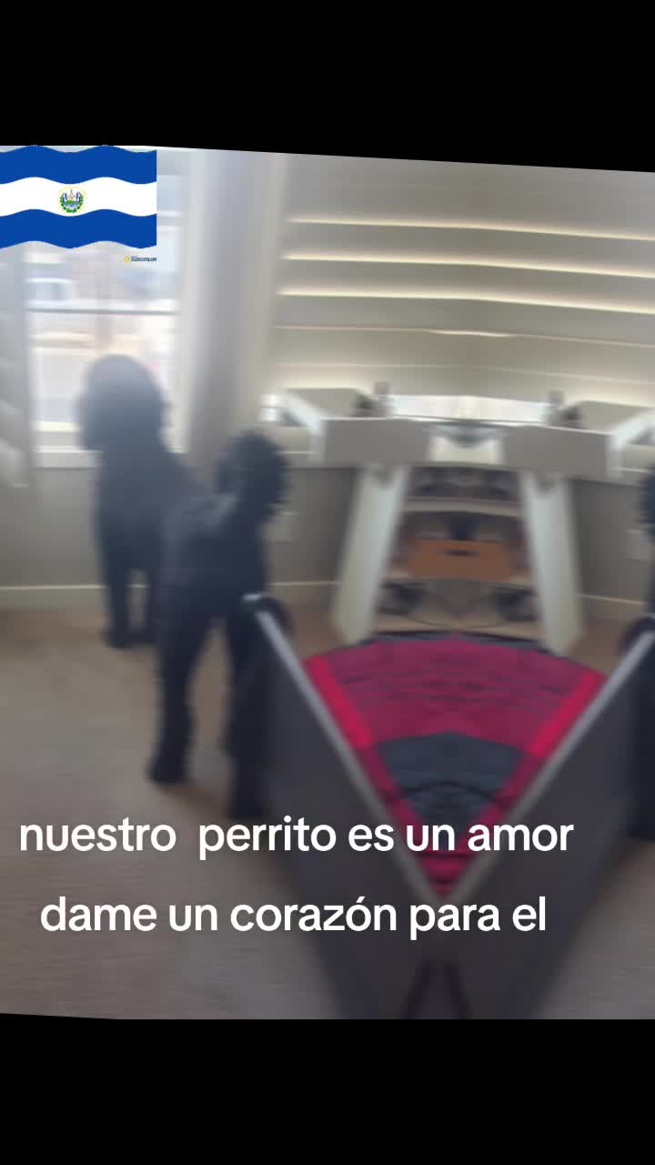@Miguel A sorto
