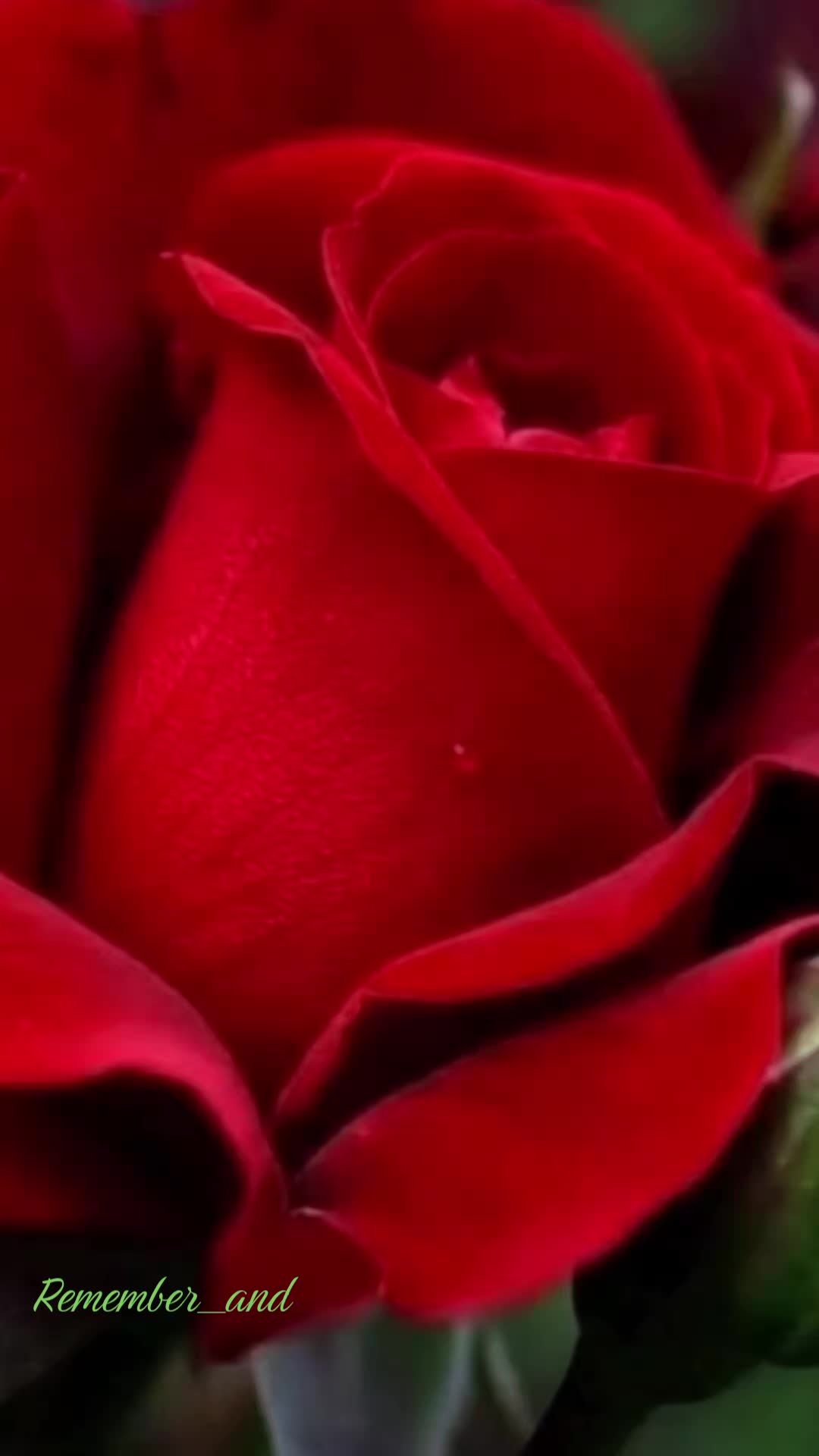 @Remember _ and