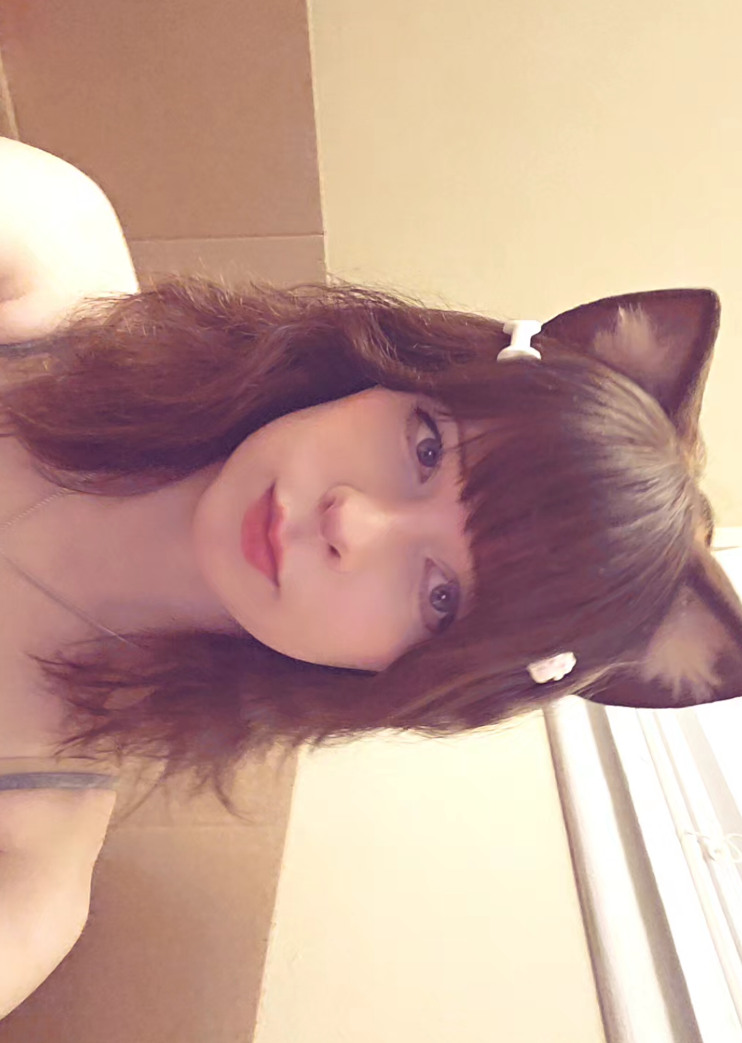 @nyanko🐾