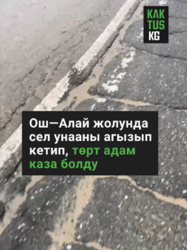 @Kaktus KG