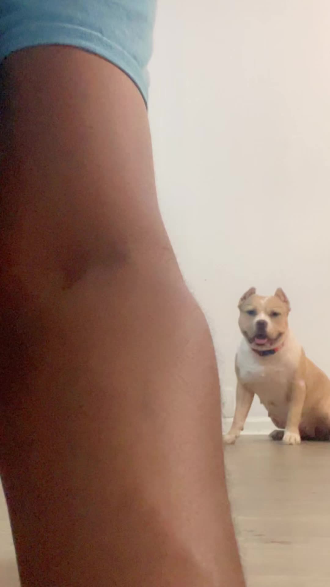 @gardnerkennel08